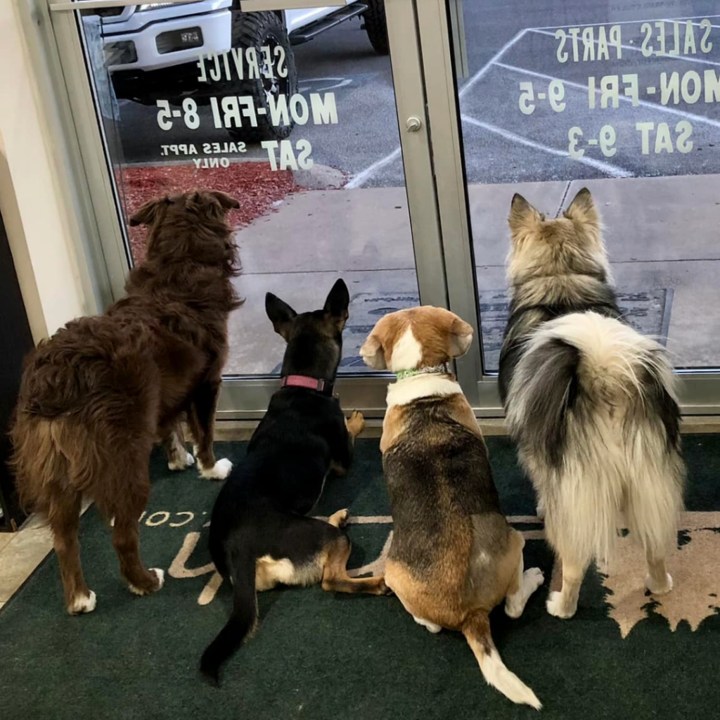 Furry Team members are waiting to greet you at Lerch RV - PA RV Dealer